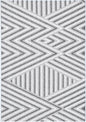 Maldives Hawk Indoor / Outdoor Grey Rug